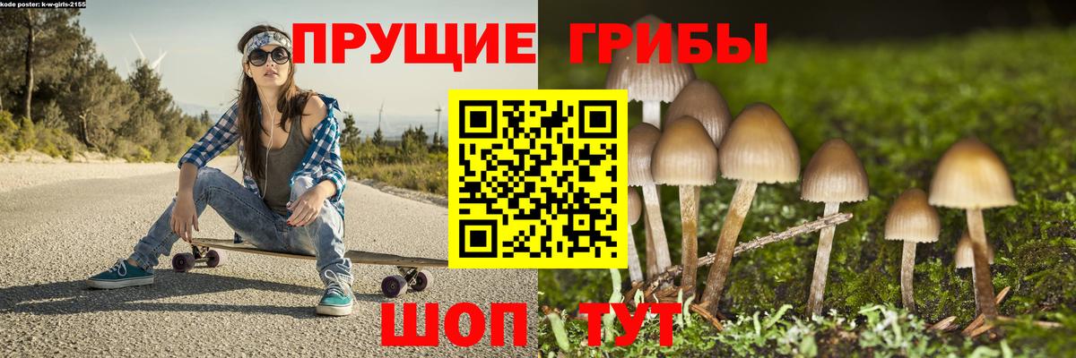 Галлюциногенные грибы MAGIC MUSHROOMS  Вход с VPN  Ступино 